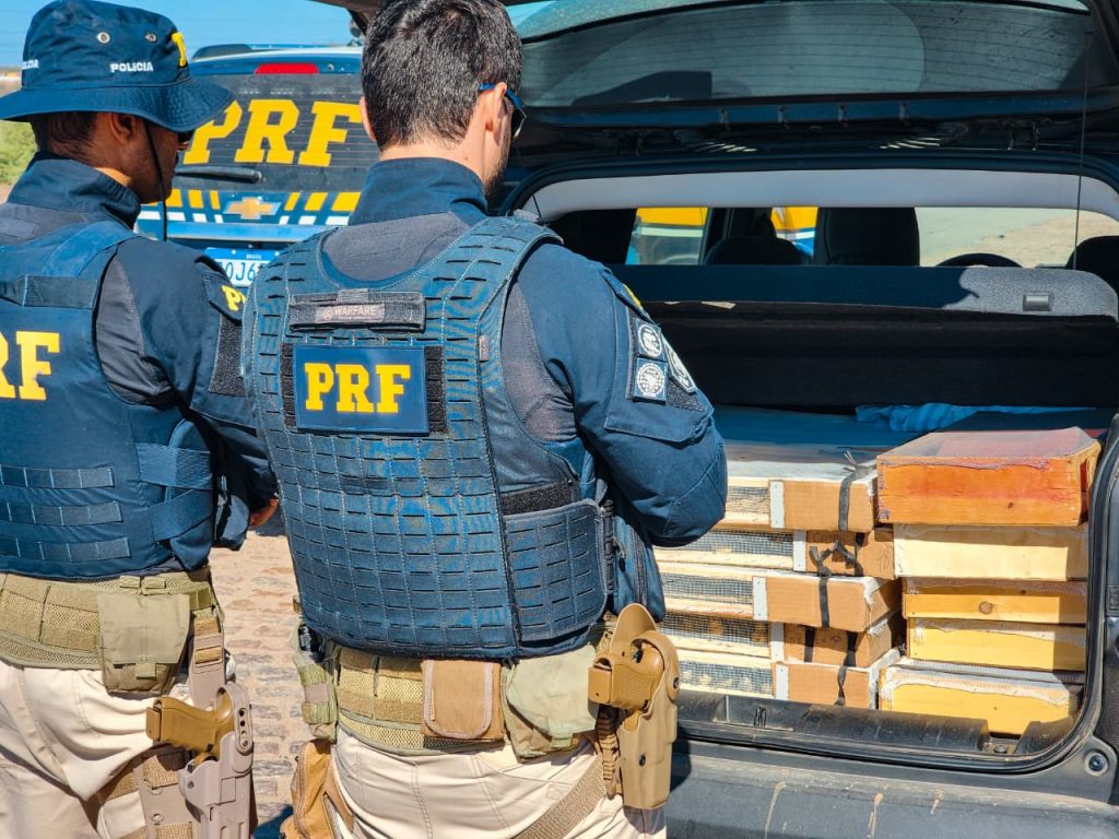 A imagem atual não possui texto alternativo. O nome do arquivo é: Divulgacao-PRF.jpeg