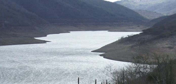 Reprodução/ TV Asa Branca