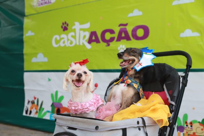 Tarciso Augusto/ Meio Ambiente Pernambuco