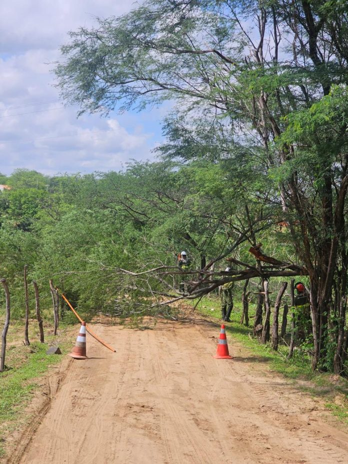 Divulgação/Neoenergia
