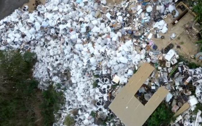 Reprodução/ Redes Sociais