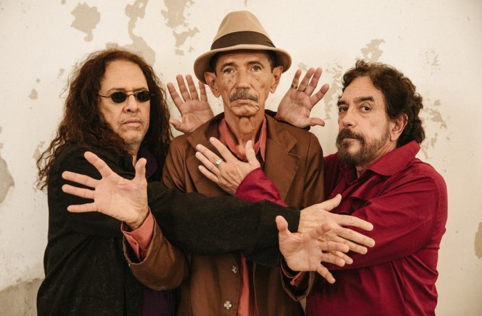 Flora Negri / Divulgação