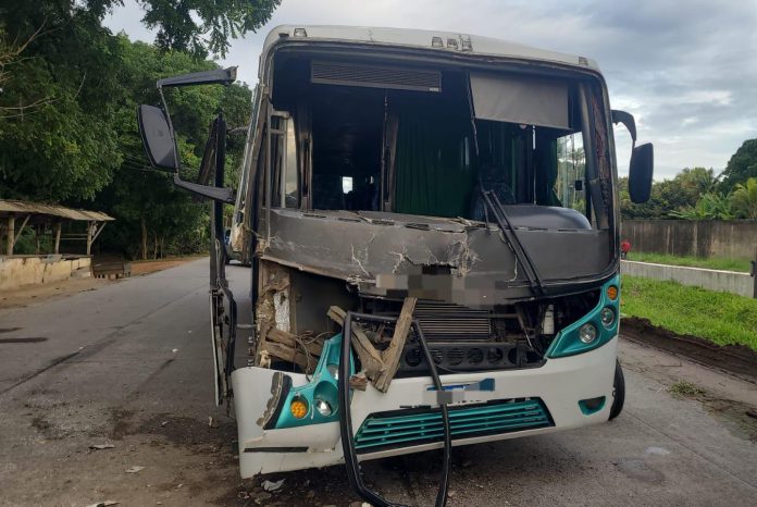 O motorista do ônibus realizou o teste do bafômetro e o resultado foi normal. Foto: Divulgação/PRF-PE